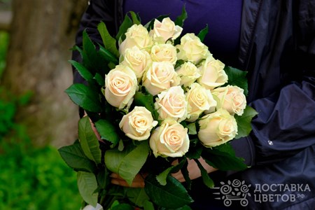 Букет из 15 кремовых роз "Талея"